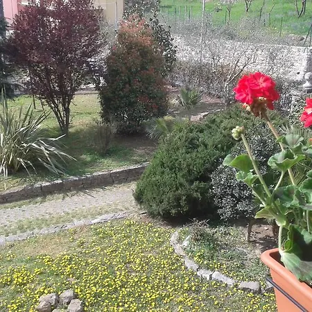 Collarea * Isolabona