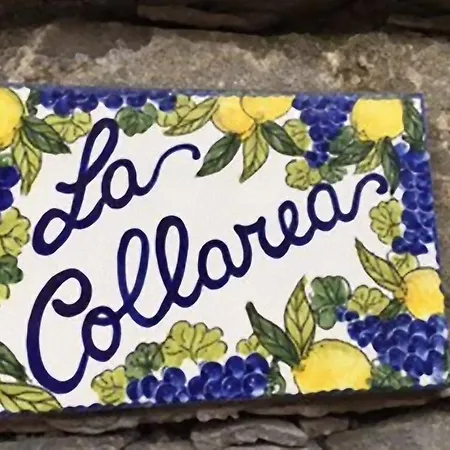 Collarea